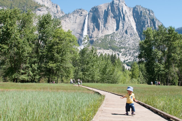 The Lower Yosemite Fall boardwalk, where half the Junior Ranger badges in the park get earned